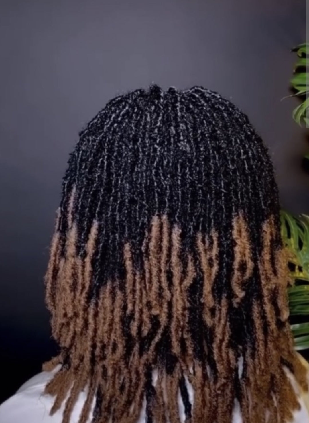 Full lace short locs wig